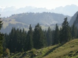 Holzegg
