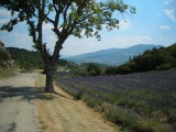 Col de Peyruergue