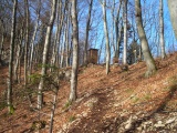 Homberglücke