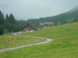 Höchi (Goldplangg)