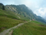 Höchi (Goldplangg)