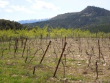 Col de Perponcher
