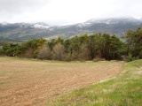 Collet des Michels