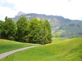 Geissbützi