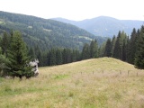 Am Hals