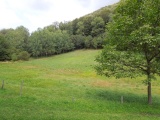 Bocca di Noogh