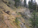 Obermutten