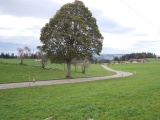 Haut du Quartier