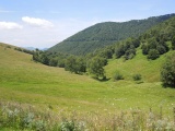 Passo Boffalora