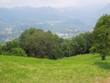 Forcellina