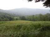 Colle Cortano