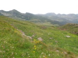 Sella dell'Auccia