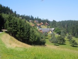 Striegeleben