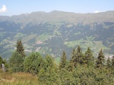 Scheidegg