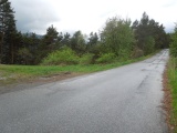 Colla Rinella