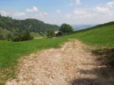 Holzweidsattel