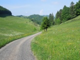 Obere Trockenmatt