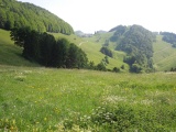 Büx