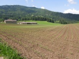 Les Vaivres