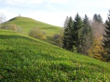 Allenwinden