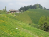 Kaltenegg