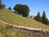 Col du Vuarne