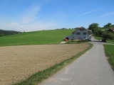 Ganzenberg