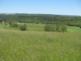 Hallauerberg