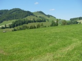 Schwantleregg