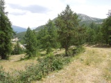 Col Boeuf