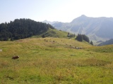 Hohberg