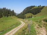 Hürlisboden