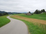 Schwänzli