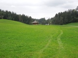 Schnittweierhöchi