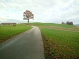 Trüllplatz