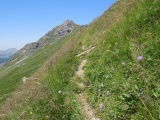 Col de Vorlaz
