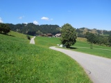 Buchschachen
