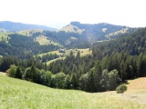 Obermeisenegg