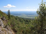 Bättlerchuchi