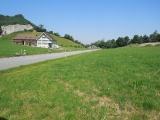 Bühl