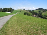 Schlauchen