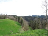 Berg