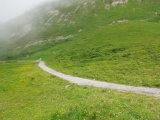 Auenfeldsattel