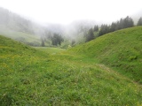 Auenfeldsattel