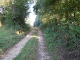 Gollet de Selours