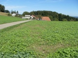 Homberg