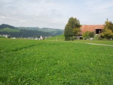 Boden