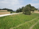 Hägsbachegg