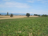 Bas des Thierdoz